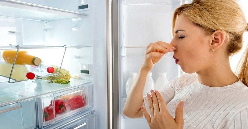 Thực phẩm bảo quản trong tủ lạnh nhanh chóng bị hỏng