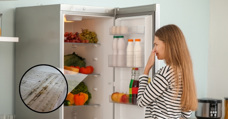 Hướng dẫn cách vệ sinh tủ lạnh bị mốc hiệu quả