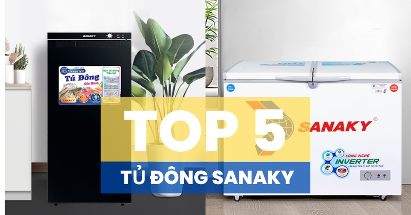 Top 5 tủ đông Sanaky